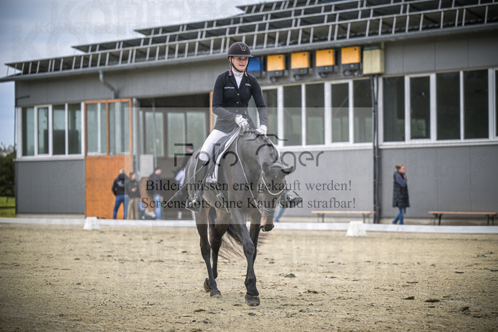 DOS_0565 | Entdecke hochwertige Reitturnierfotos von Foto Oger. Professionell, emotional und authentisch – jetzt Lieblingsmomente im Shop bestellen.Deutschlandweite Turnierfotografie. - Realisiert mit Pictrs.com