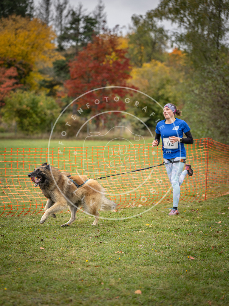 Pfotenfotografie_DV3A2702 | Hundefotografie, Tierfotograf, Pfotenfotografie, Fotoshooting Hund, Hunde Portrait, Hundesport, Hundeportraits, Heideshooting, Hunde, Sportfotograf, Hundefotograf, Turnierhundsport, THS,  - Realisiert mit Pictrs.com