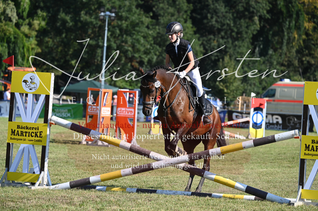 DSC_5223 | Pferde- und Turnierfotografie in Westsachsen. Pferdeportraits, Auftragszeichnungen und intuitive Kunst.