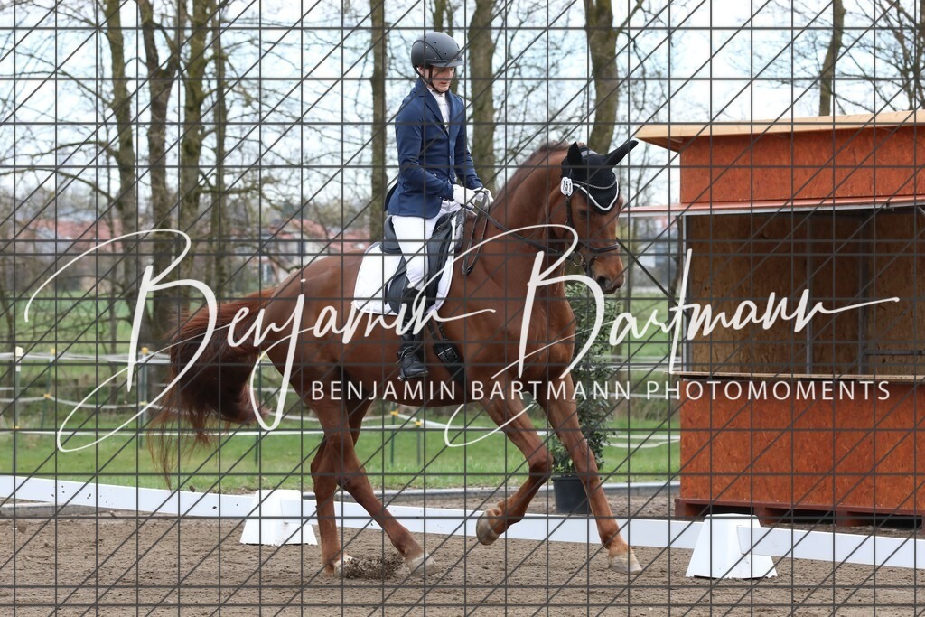 AZ2A4036 | Benjamin Bartmann Photomoments