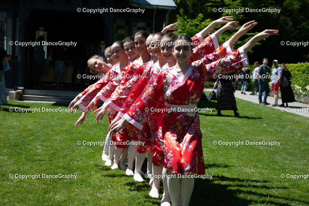 GPHY3886 | DanceGraphy - Realisiert mit Pictrs.com