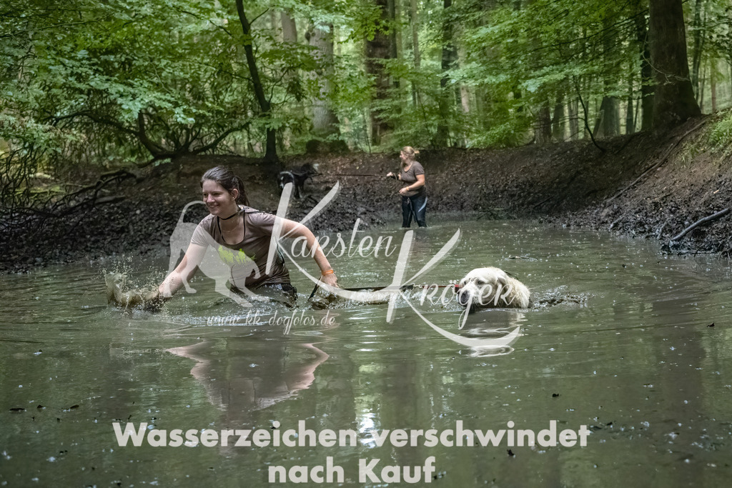1156_ZZ90201-Bearbeitet-2 | kk-dogfotos