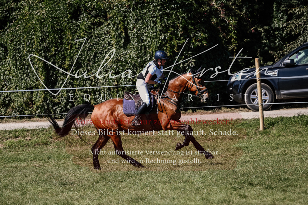 DSC_1997 | Pferde- und Turnierfotografie in Westsachsen. Pferdeportraits, Auftragszeichnungen und intuitive Kunst.