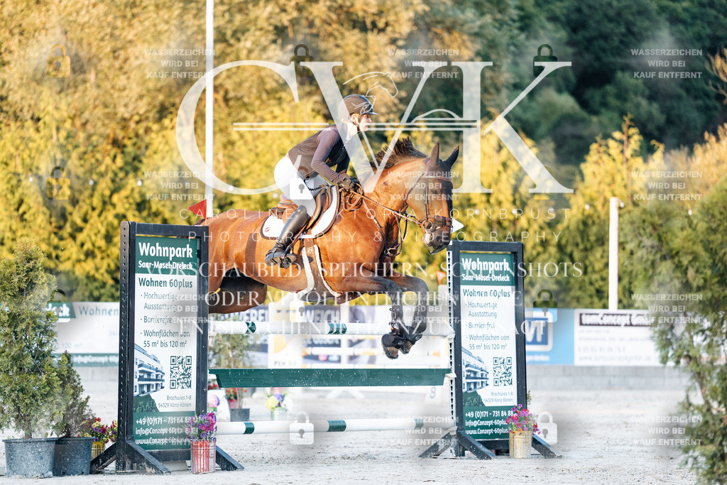 CK901244 | Turnierfotografie Pferdefotografie Trier Rheinland-Pfalz Pferdesport Reitsport Tierfotografie Sportfotografie Pferdevideo Pferdevideografie Equestrianvideography equestrianphotography  - Realisiert mit Pictrs.com