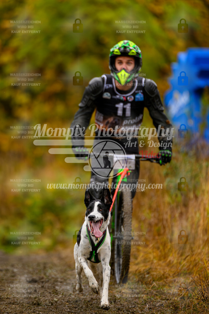 MompixPhotography_ICF_WC_2024_SA_DS_-26 | PayLife