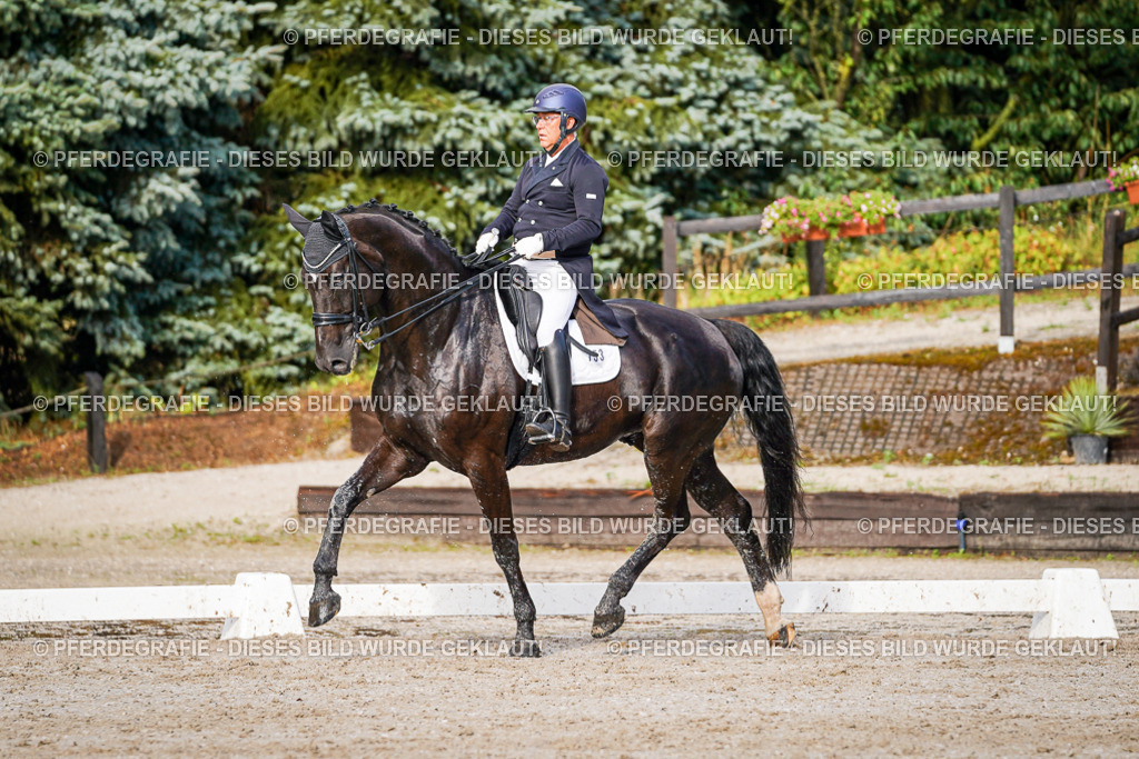 DSC00409 | Pferdegrafie