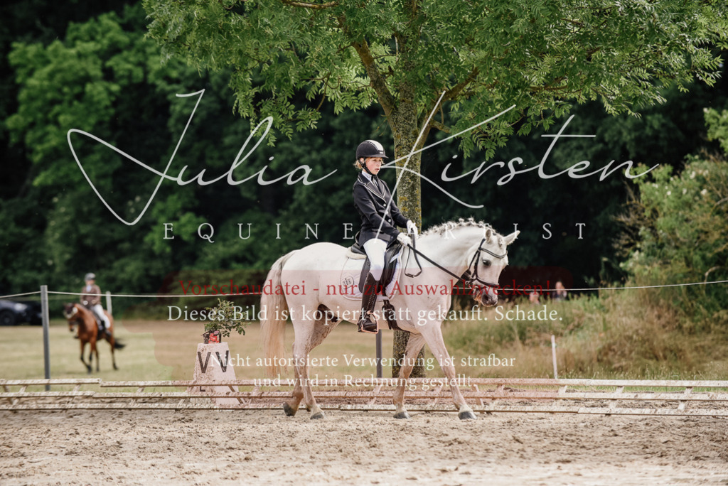 DSC_9446 | Pferde- und Turnierfotografie in Westsachsen. Pferdeportraits, Auftragszeichnungen und intuitive Kunst.
