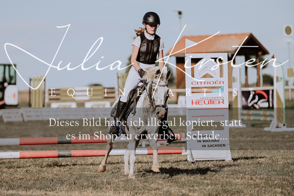 DSC_9443 | Pferde- und Turnierfotografie in Westsachsen. Pferdeportraits, Auftragszeichnungen und intuitive Kunst.