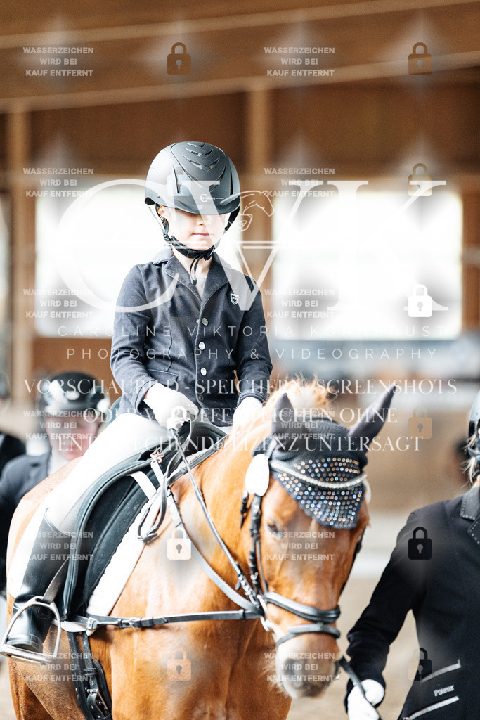 CK901861 | Turnierfotografie Pferdefotografie Trier Rheinland-Pfalz Pferdesport Reitsport Tierfotografie Sportfotografie Pferdevideo Pferdevideografie Equestrianvideography equestrianphotography  - Realisiert mit Pictrs.com