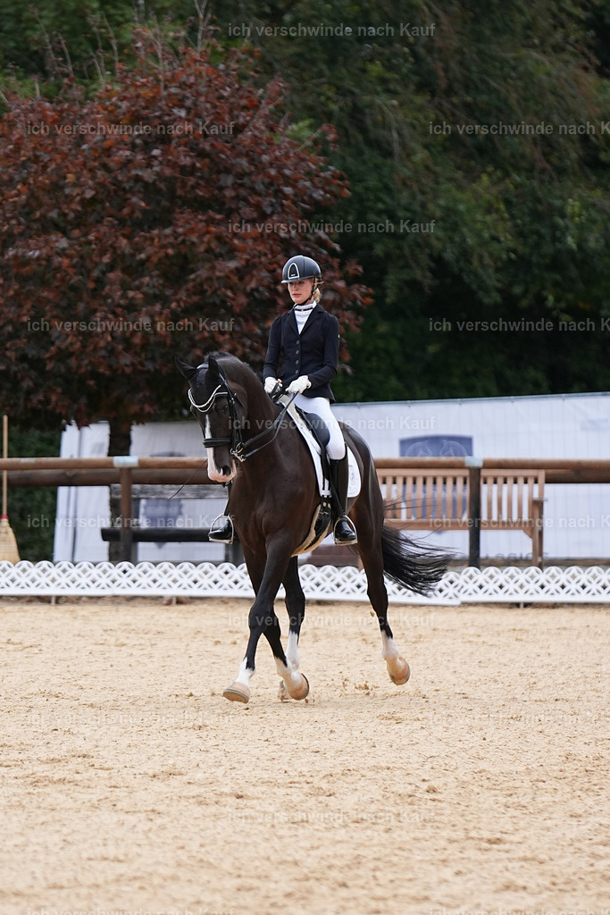 3-147-Dressur M_-Marixx-1871 | working equitationturnier fotograf videograf stoibphotography marixx film working equitation deutschland reitsport turnierfotografie eventfotografie equestrian events