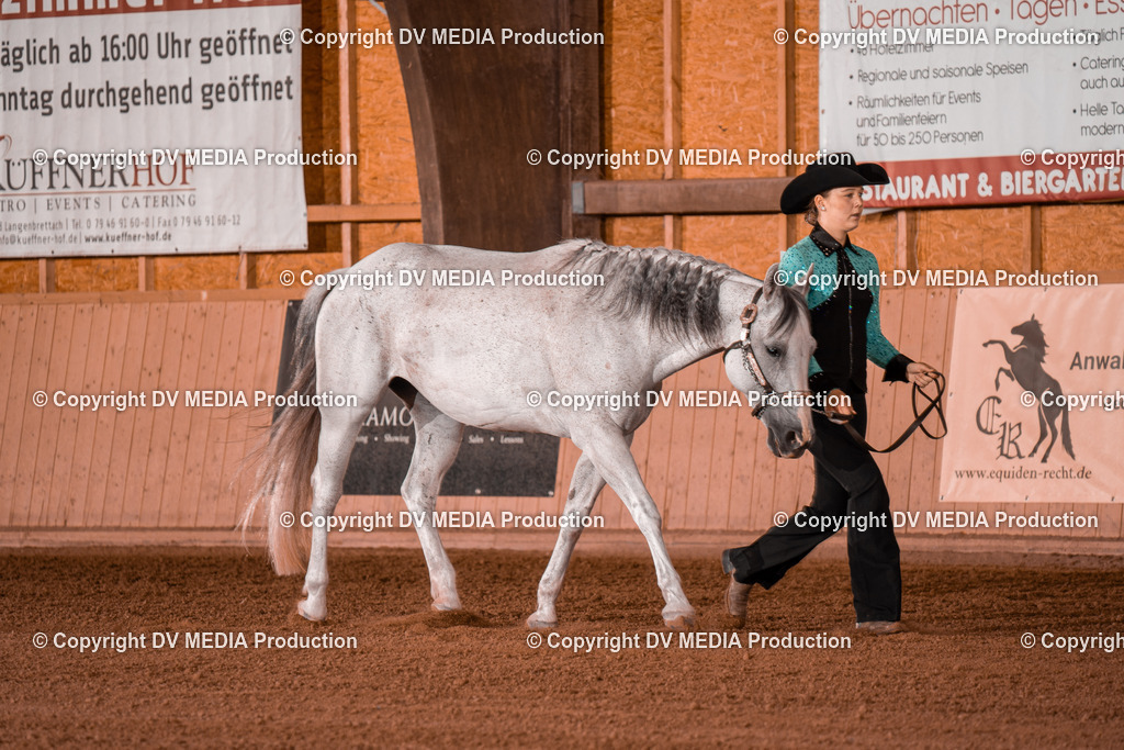 NE201501 | dv-media-shop - Realisiert mit Pictrs.com