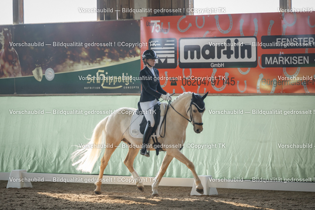 _D5A8198 | Emotionale Pferde- & People-Fotografie rund um Heidelberg, Leimen & Umgebung. Natürliche Fotos von Pferd, Mensch & Familie. Jetzt Termin sichern!