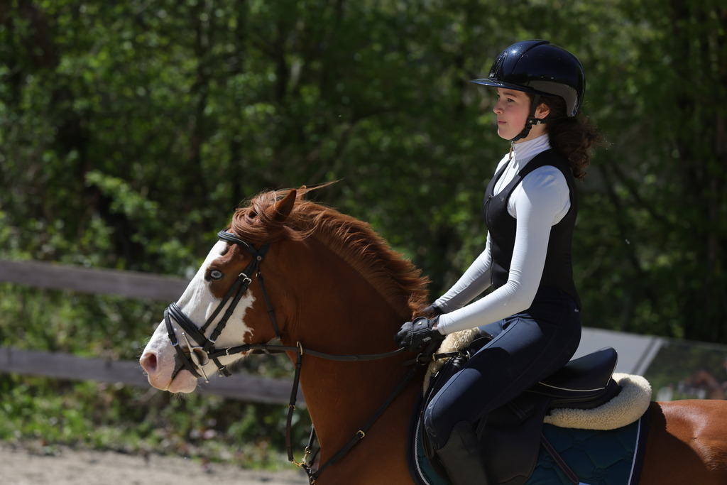 0P6A8849 | Willkommen bei Brunnmayr - Design & Fotografie – Ihrem Spezialisten für Reitturniere und Pferdeveranstaltungen in Oberösterreich, Salzburg und Bayern! Seit über 17 Jahren sind wir leidenschaftlich dabei.