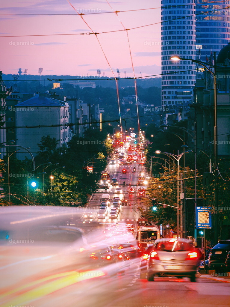 Silkworm | Dejanmilo Illumination - Ihr Anlaufpunkt für dekorative Abzüge und Prints in vielen Variationen. - Realisiert mit Pictrs.com