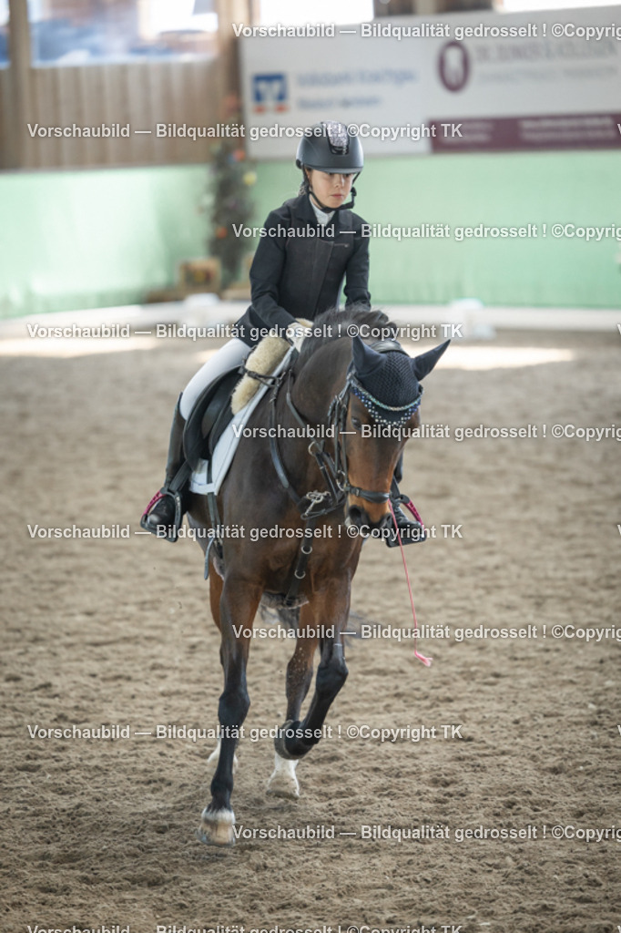 _D5A9119 | Emotionale Pferde- & People-Fotografie rund um Heidelberg, Leimen & Umgebung. Natürliche Fotos von Pferd, Mensch & Familie. Jetzt Termin sichern!