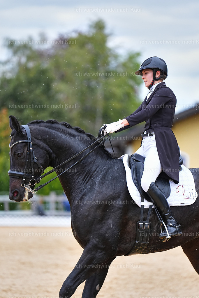 8_1-118-Klasse S_  -Marixx-4236 | working equitationturnier fotograf videograf stoibphotography marixx film working equitation deutschland reitsport turnierfotografie eventfotografie equestrian events