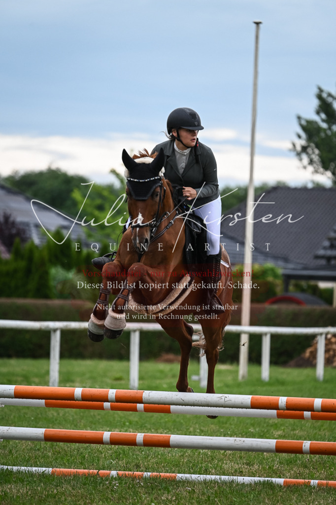 DSC_8449 | Pferde- und Turnierfotografie in Westsachsen. Pferdeportraits, Auftragszeichnungen und intuitive Kunst.