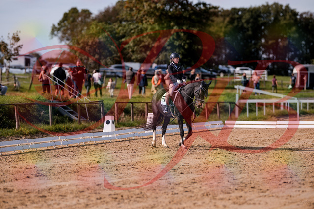 2026_10_03_Siefer-Hof_121533_Z81_16973838 | Professionelle Reitsport-, Turnier- und Eventfotografie von Robert Broda. Galerien mit ausgewählten und bearbeiteten Bildern direkt online ansehen und bestellen.