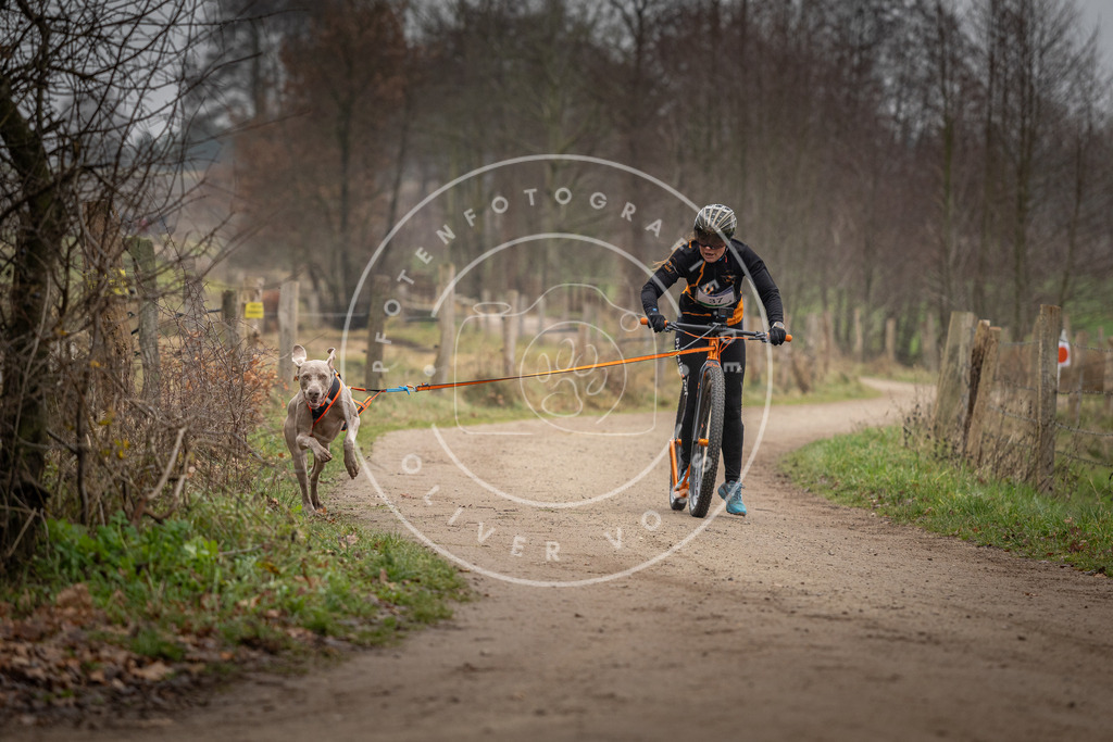 Pfotenfotografie_DV3A2468 | Hundefotografie, Tierfotograf, Pfotenfotografie, Fotoshooting Hund, Hunde Portrait, Hundesport, Hundeportraits, Heideshooting, Hunde, Sportfotograf, Hundefotograf, Turnierhundsport, THS,  - Realisiert mit Pictrs.com