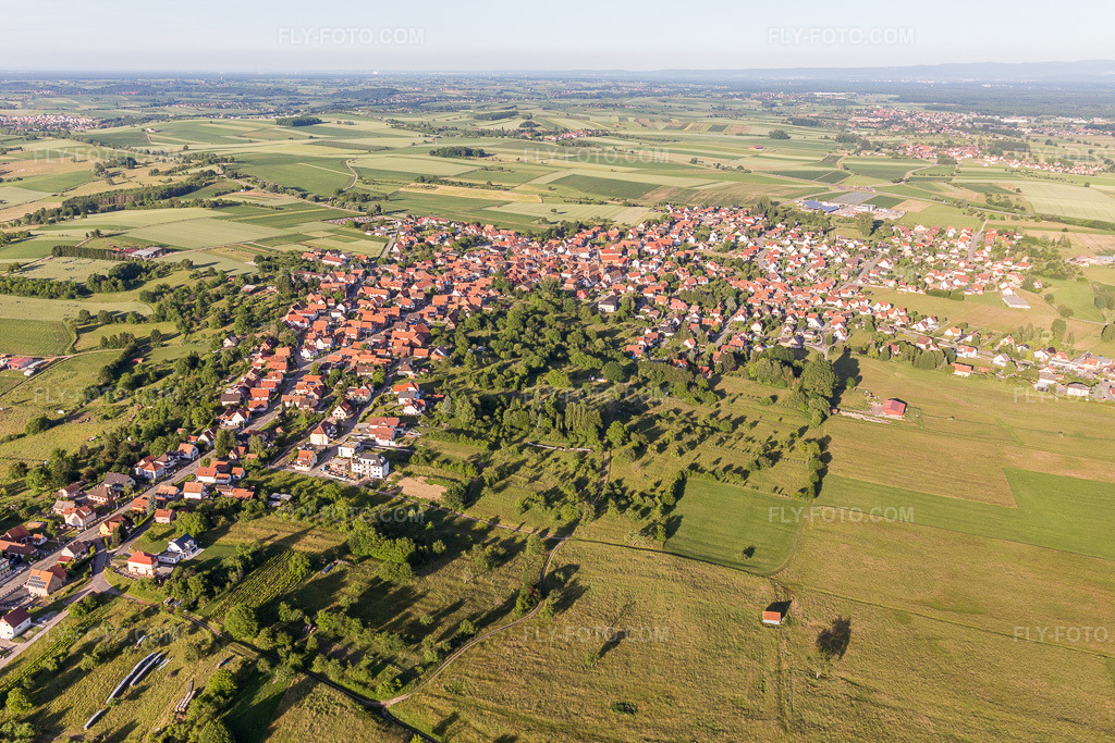 Aerial view: Agricultural fields and arable land in Surbourg in the state Bas-Rhin, France.Photo: IMG_100819.jpg taken on 06/08/2017 by Werner Riehm/FLY-FOTO.comResolution of the original: 5472 x 3648 px