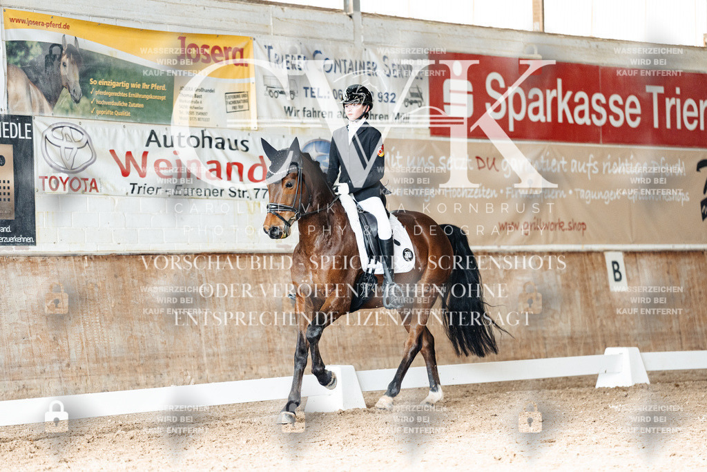 CK902018 | Turnierfotografie Pferdefotografie Trier Rheinland-Pfalz Pferdesport Reitsport Tierfotografie Sportfotografie Pferdevideo Pferdevideografie Equestrianvideography equestrianphotography  - Realized with Pictrs.com