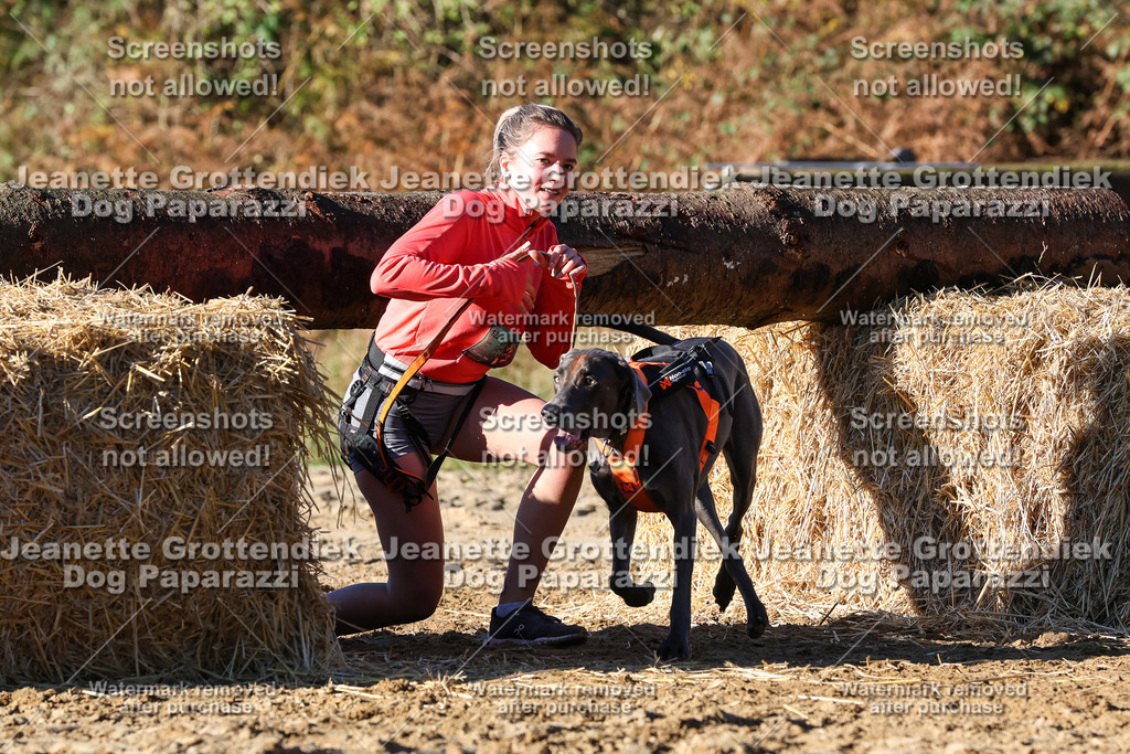Dog Paparazzi - Strongdog 10-25-1773 | Dog Paparazzi Jeanette Grottendiek Fotografie & Videografie - Realisiert mit Pictrs.com