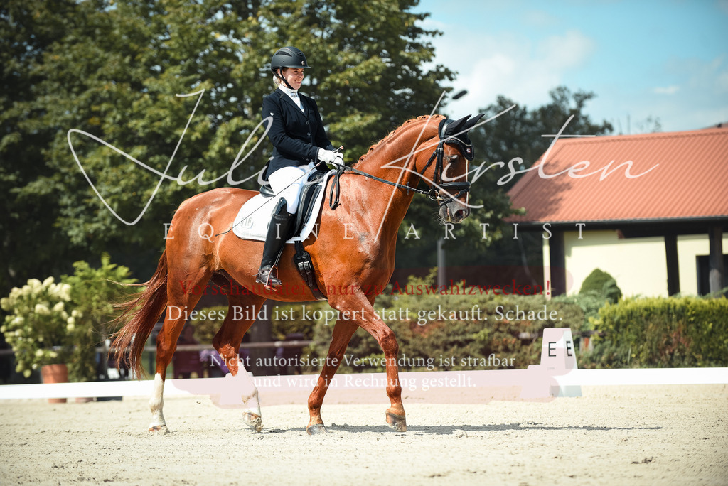 DSC_9087 | Pferde- und Turnierfotografie in Westsachsen. Pferdeportraits, Auftragszeichnungen und intuitive Kunst.