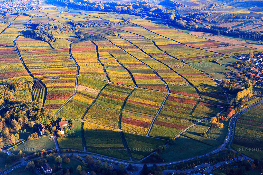 Luftbild: Herbstlicht bunte Reben der Weinberge bis Heuchelheim in Klingenmünster im Bundesland Rheinland-Pfalz in Deutschland. Foto: IMG_095751.jpg vom 30.10.2016 durch Werner Riehm/FLY-FOTO.de