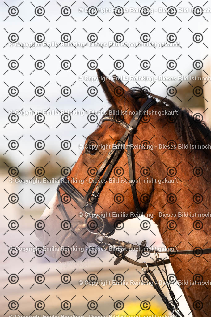 CL5A2688 | Emilia Reinking Fotografie - Realisiert mit Pictrs.com