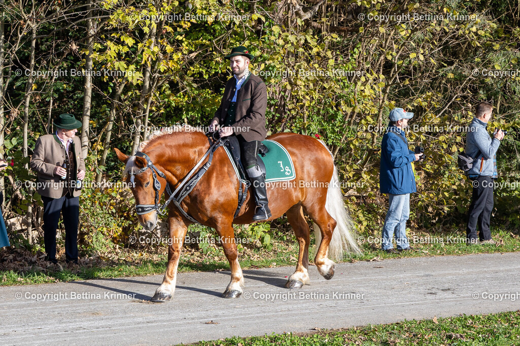LBT24-213 | foto-bettina-krinner - Realisiert mit Pictrs.com