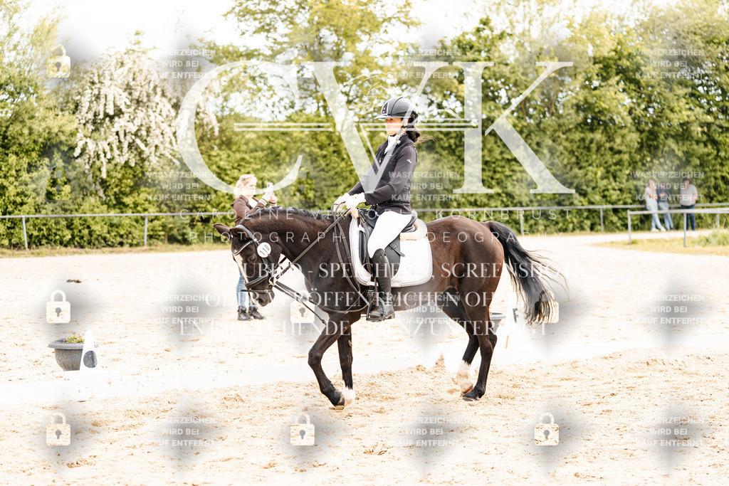 CK904390 | Turnierfotografie Pferdefotografie Trier Rheinland-Pfalz Pferdesport Reitsport Tierfotografie Sportfotografie Pferdevideo Pferdevideografie Equestrianvideography equestrianphotography  - Realisiert mit Pictrs.com