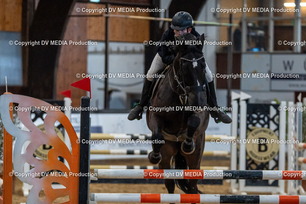 Kranichstein Tag 2-095 | dv-media-shop - Realisiert mit Pictrs.com