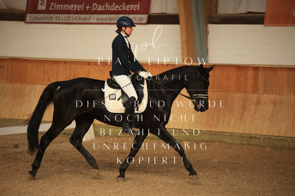 IMGT4904 | pl-fotografie