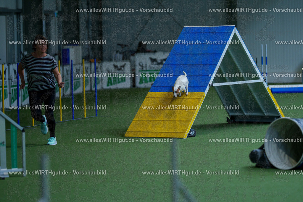 @allesWIRTHgut_Tierfotografie - www.allesWIRTHgut.de - 2604261447-7R503727 | Professionelle Tierfotografie in Mönchengladbach von Daniel Wirth (allesWIRTHgut). Liebevolle & natürliche Bilder von Hunden & Katzen für unvergessliche Erinnerungen.
