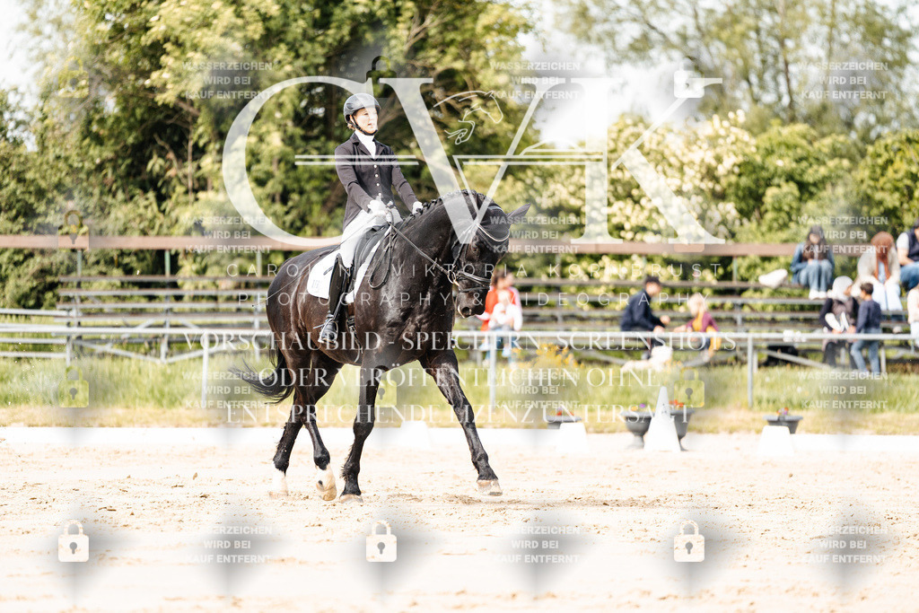 CK901022 | Turnierfotografie Pferdefotografie Trier Rheinland-Pfalz Pferdesport Reitsport Tierfotografie Sportfotografie Pferdevideo Pferdevideografie Equestrianvideography equestrianphotography  - Realisiert mit Pictrs.com