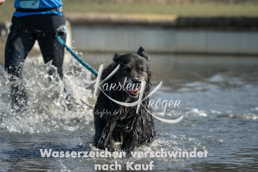1303_ZZ94178 | kk-dogfotos