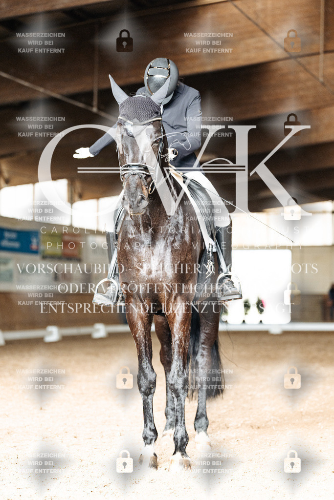 CK902530 | Turnierfotografie Pferdefotografie Trier Rheinland-Pfalz Pferdesport Reitsport Tierfotografie Sportfotografie Pferdevideo Pferdevideografie Equestrianvideography equestrianphotography  - Realisiert mit Pictrs.com