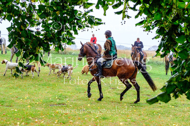 Jagd Kletkamp 26-9502_MarinaHewig | Fotografie, FotoArt, PferdesportArt, Pferdesportfotografie, Landschaftsfotografie, Reisefotografie, Reise, Pferde - Realisiert mit Pictrs.com