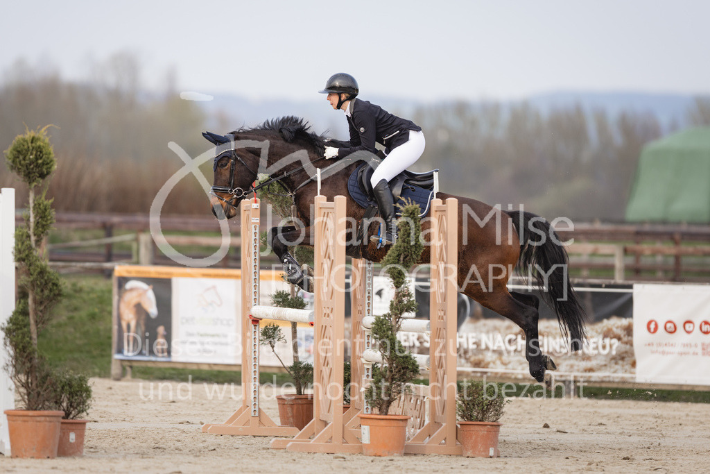 230406_Frühlingsfest_A-Stil1-111 | Deine schönsten Turniermomente als professionelle Fotos! Entdecke hochwertige Pferdesport-Fotografie im Online-Shop. Jetzt Fotos finden & bestellen!