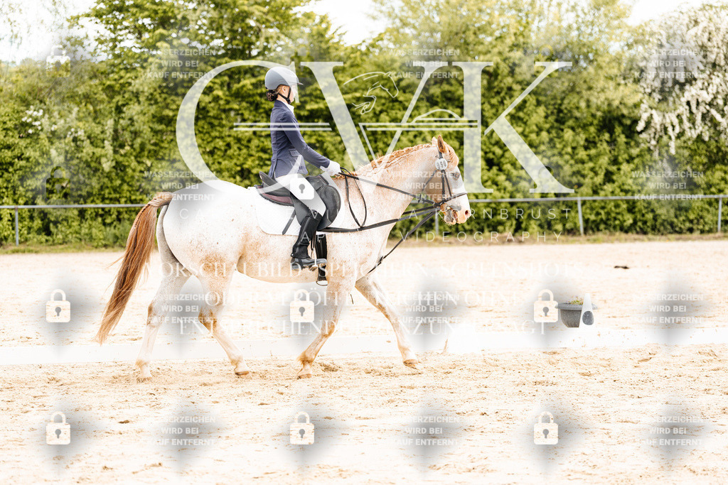 CK904267 | Turnierfotografie Pferdefotografie Trier Rheinland-Pfalz Pferdesport Reitsport Tierfotografie Sportfotografie Pferdevideo Pferdevideografie Equestrianvideography equestrianphotography  - Realisiert mit Pictrs.com