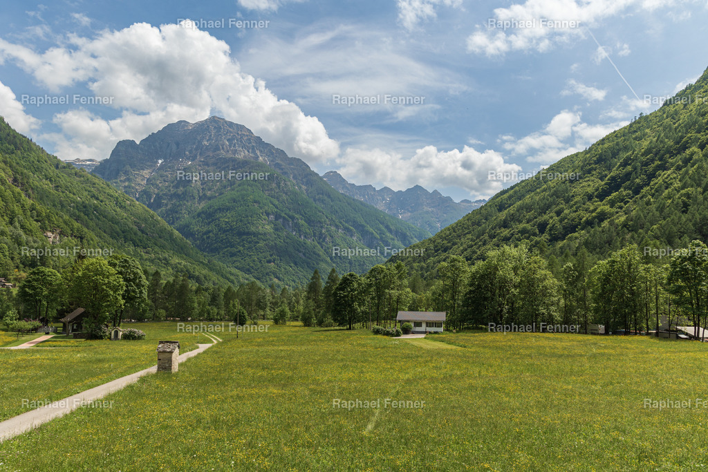 Sommerliche Weite im Val Verzasca | Ein weiter Blick ins grüne Val Verzasca an einem sonnigen Tag im Sommer. Die majestätischen Berge, das satte Grün und der klare Himmel bilden eine typische Szenerie dieses malerischen Tessiner Tals – bekannt für seine unberührte Natur, charmanten Dörfer und glasklaren Flüsse.