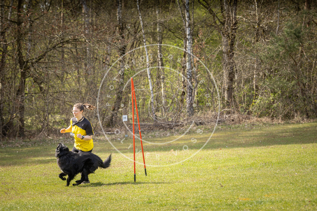 Pfotenfotografie_DV3A0124 | Hundefotografie, Tierfotograf, Pfotenfotografie, Fotoshooting Hund, Hunde Portrait, Hundesport, Hundeportraits, Heideshooting, Hunde, Sportfotograf, Hundefotograf, Turnierhundsport, THS,  - Realisiert mit Pictrs.com