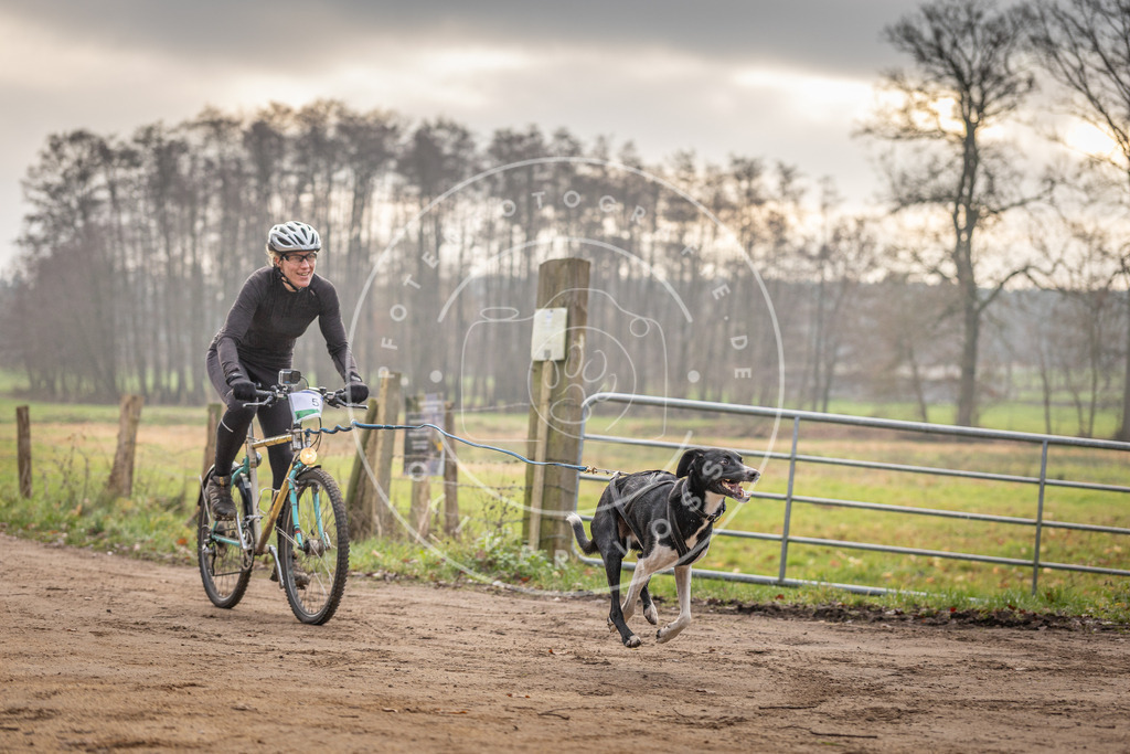 Pfotenfotografie_DV3A1573 | Hundefotografie, Tierfotograf, Pfotenfotografie, Fotoshooting Hund, Hunde Portrait, Hundesport, Hundeportraits, Heideshooting, Hunde, Sportfotograf, Hundefotograf, Turnierhundsport, THS,  - Realisiert mit Pictrs.com