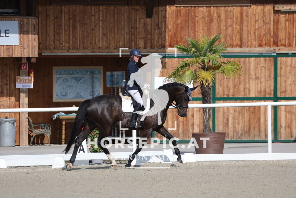 0P6A4531 | Willkommen bei Brunnmayr - Design & Fotografie – Ihrem Spezialisten für Reitturniere und Pferdeveranstaltungen in Oberösterreich, Salzburg und Bayern! Seit über 17 Jahren sind wir leidenschaftlich dabei.
