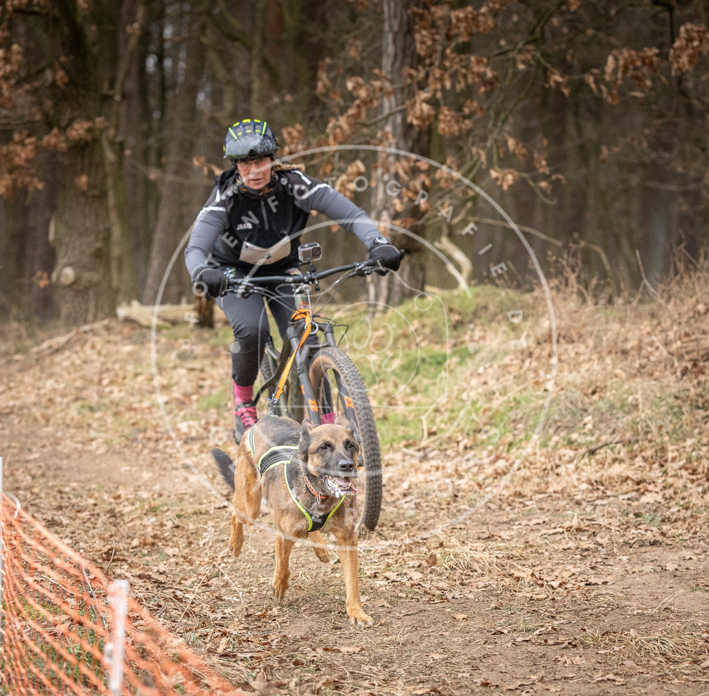 Pfotenfotografie_DV3A1800 | Hundefotografie, Tierfotograf, Pfotenfotografie, Fotoshooting Hund, Hunde Portrait, Hundesport, Hundeportraits, Heideshooting, Hunde, Sportfotograf, Hundefotograf, Turnierhundsport, THS,  - Realisiert mit Pictrs.com