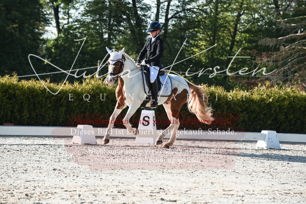 20230518_JK-Röhrsdorf-09-0294 | Pferde- und Turnierfotografie in Westsachsen. Pferdeportraits, Auftragszeichnungen und intuitive Kunst.