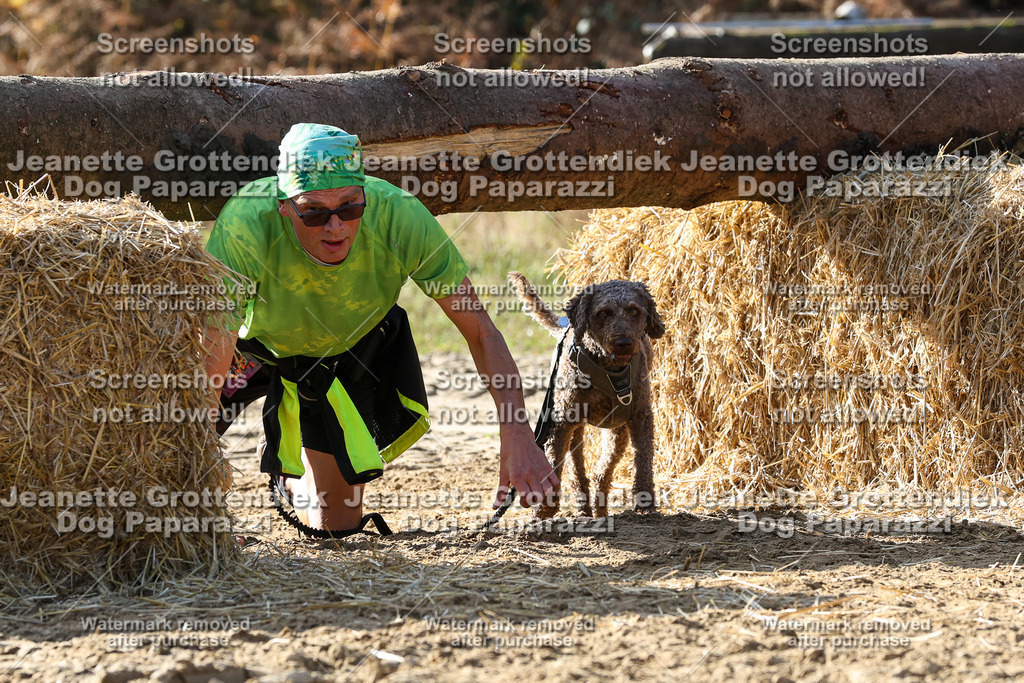 Dog Paparazzi - Strongdog 10-25-5958 | Dog Paparazzi Jeanette Grottendiek Fotografie & Videografie - Realisiert mit Pictrs.com