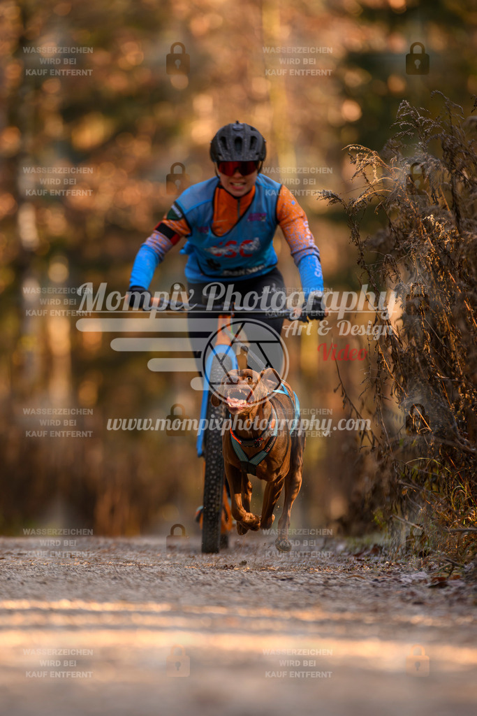 MompixPhotography_DM_AKDM_SO_2025_Scooter-122 | PayLife
