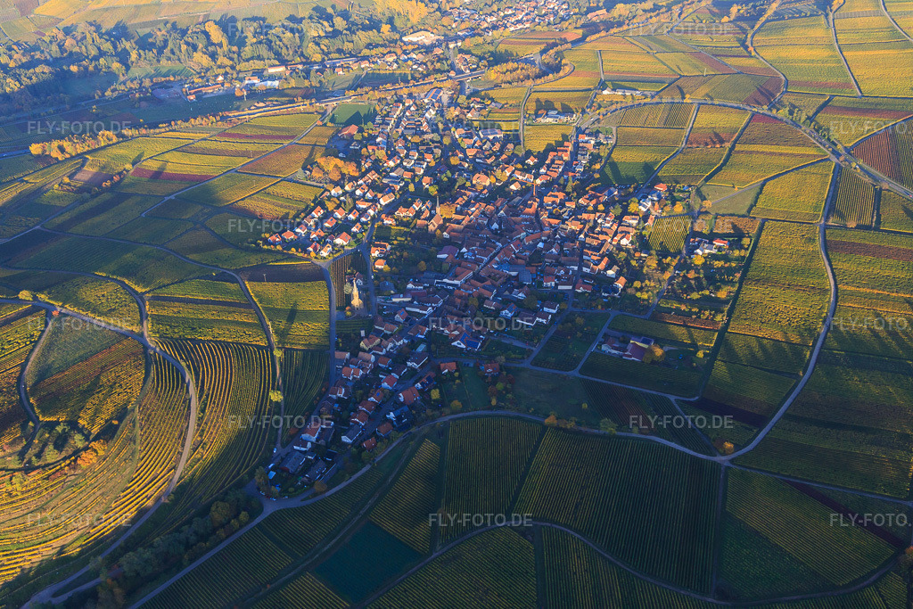 Luftbild: Winzerdorf am Haardtrand in Herbstfarben aus Westen in Birkweiler im Bundesland Rheinland-Pfalz in Deutschland. Foto: IMG_095704.jpg vom 30.10.2016 durch Werner Riehm/FLY-FOTO.de