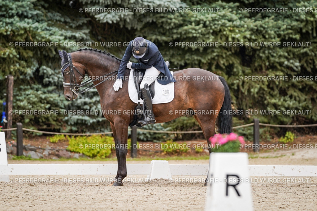 DSC07347 | Pferdegrafie